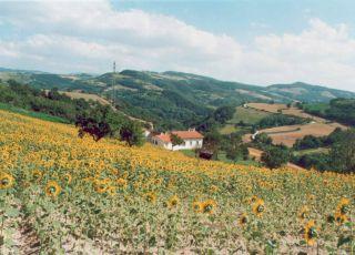 Vakantiehuis Prugno Uno, bij Assisi