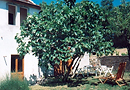 Appartement Greppia Italie