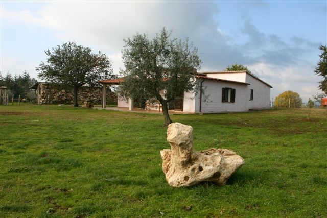 Vakantiehuis, Lago di Bolsena, Zwembad