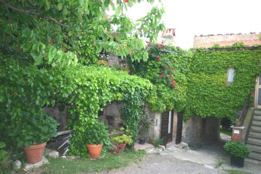 Vakantiehuis La Lucciola